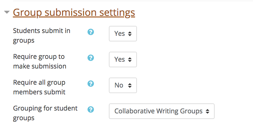 moodle assignment group submission
