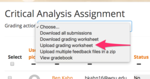 moodle assignment offline grading worksheet